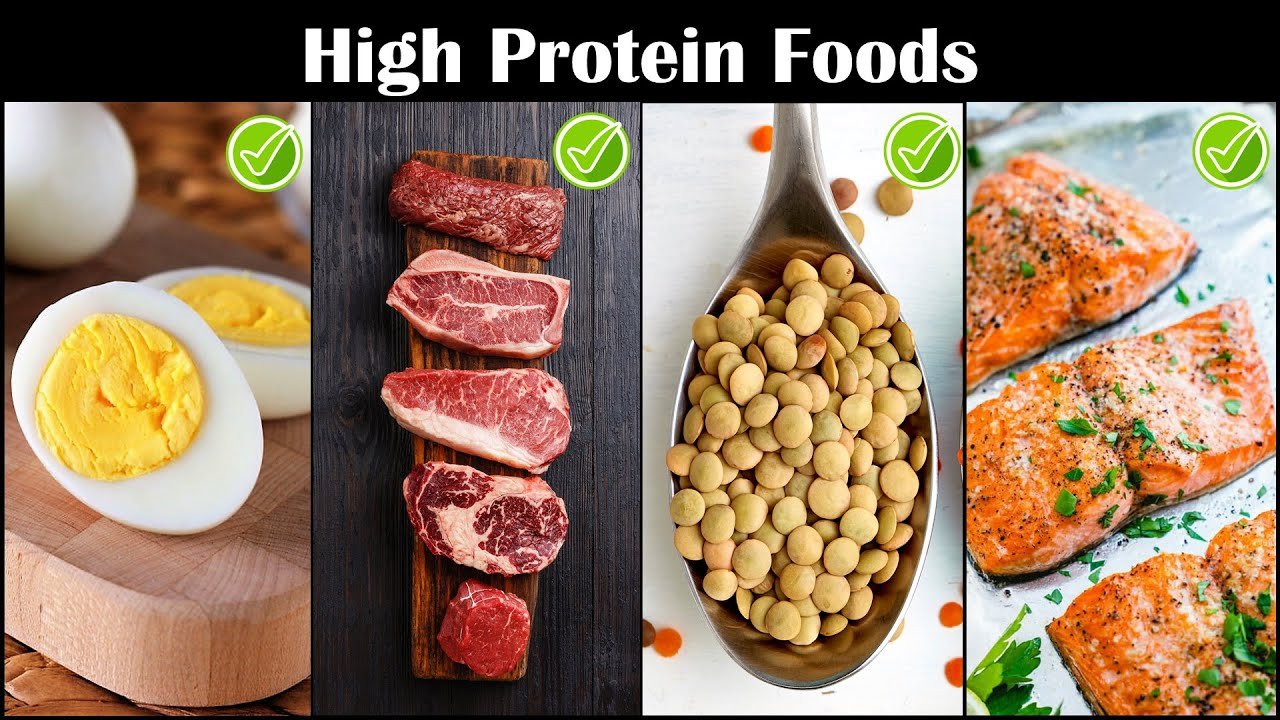 Top 10 Protein Rich Foods: What You Need to Know